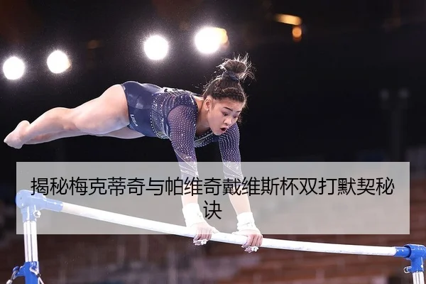 揭秘梅克蒂奇与帕维奇戴维斯杯双打默契秘诀